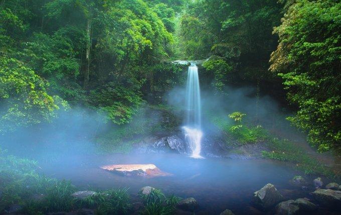 精灵格蕾